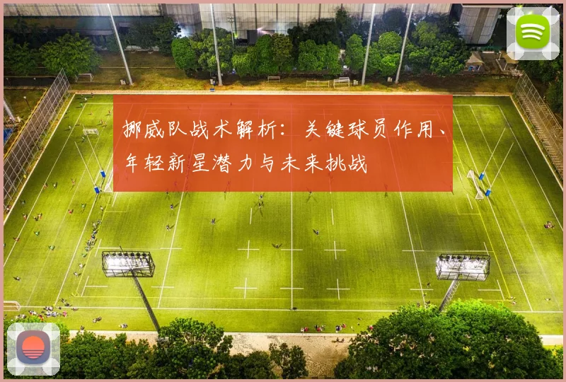 挪威队战术解析：关键球员作用、年轻新星潜力与未来挑战